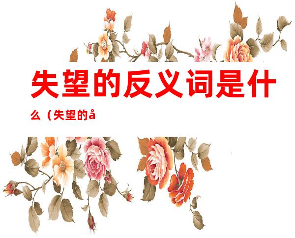 失望的反义词是什么(失望的反义词是什么词语)