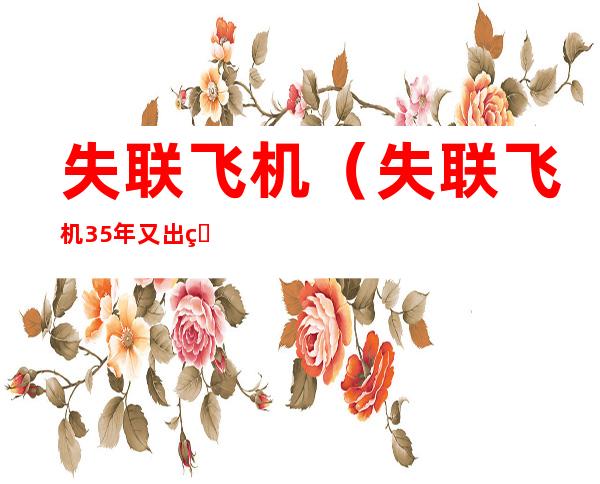 失联飞机(失联飞机35年又出现)