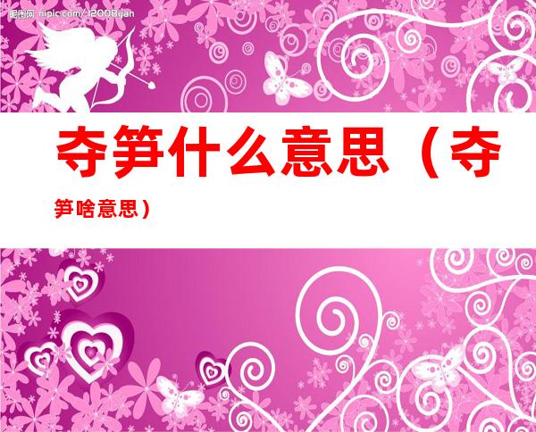 夺笋什么意思(夺笋啥意思)