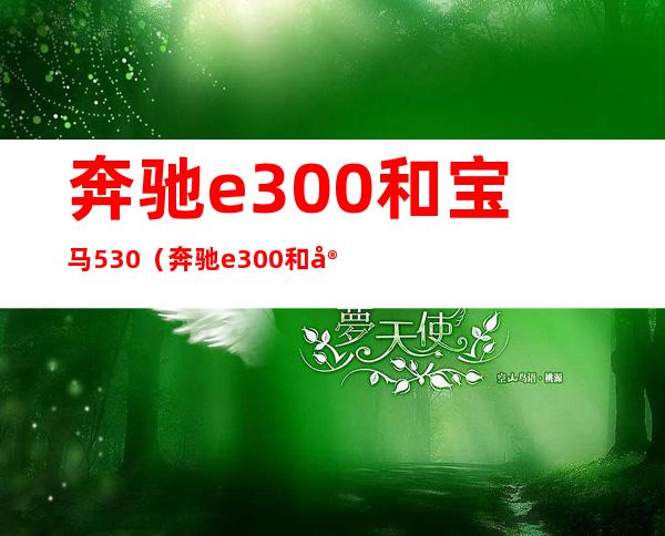 奔驰e300和宝马530(奔驰e300和宝马530哪个保值)