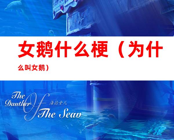 女鹅什么梗(为什么叫女鹅)