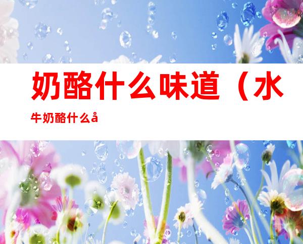 奶酪什么味道(水牛奶酪什么味道)