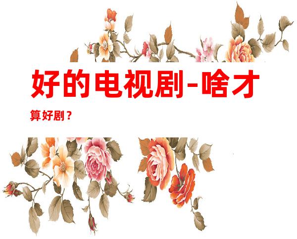 好的电视剧-啥才算好剧?