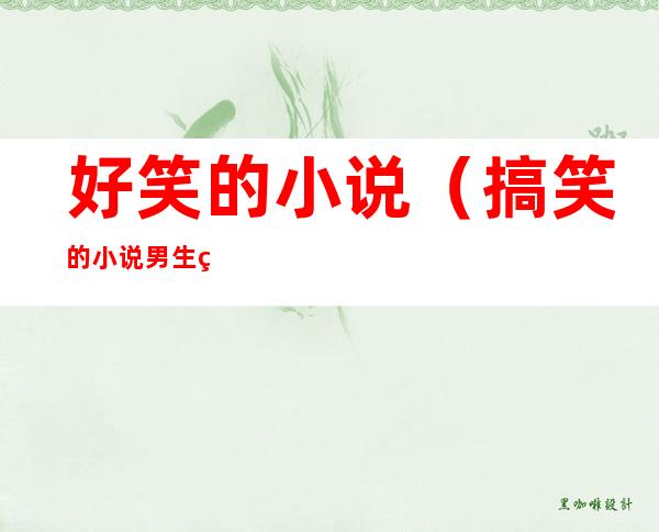 好笑的小说(搞笑的小说男生看的)