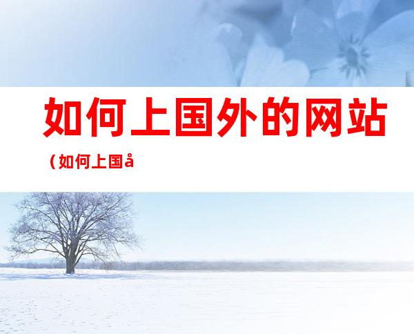 如何上国外的网站(如何上国外的网站查资料)