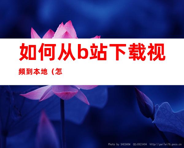 如何从b站下载视频到本地（怎么在b站下载视频到本地）