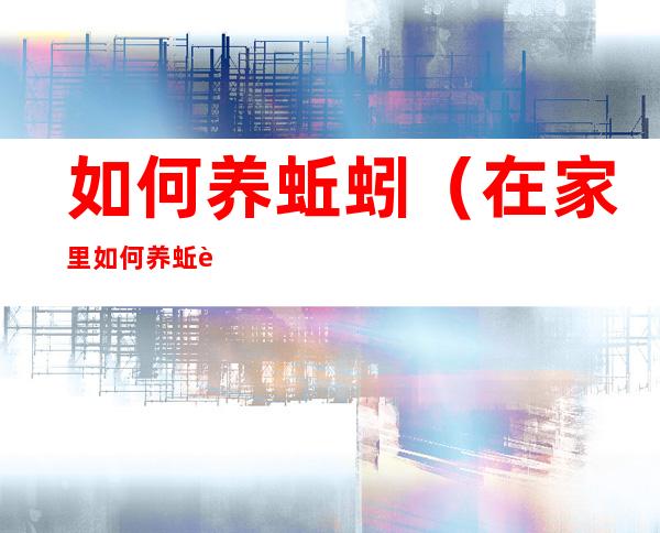 如何养蚯蚓(在家里如何养蚯蚓)