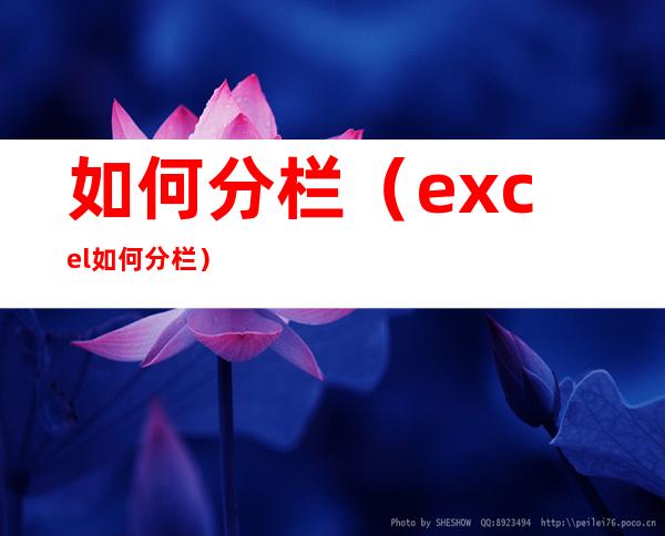 如何分栏(excel如何分栏)