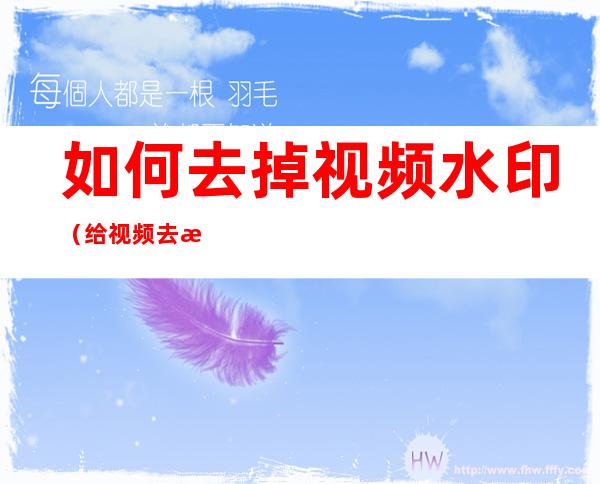 如何去掉视频水印(给视频去水印)
