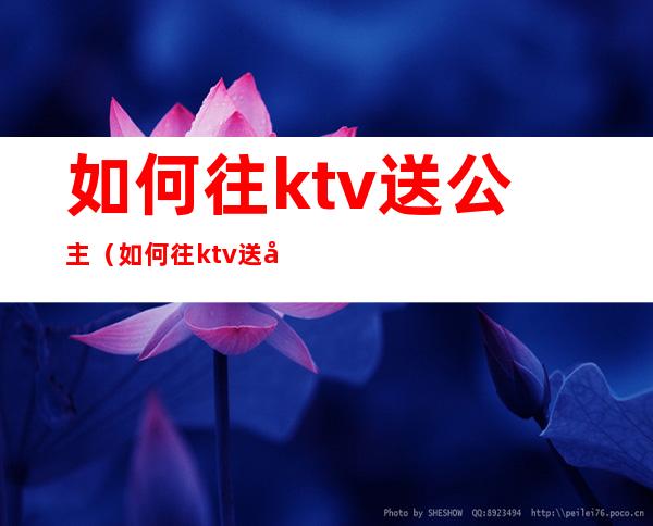 如何往ktv送公主(如何往ktv送公主衣服)