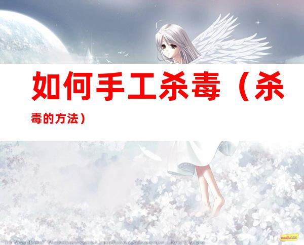 如何手工杀毒(杀毒的方法)