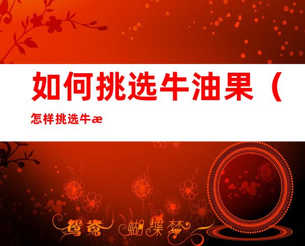 如何挑选牛油果(怎样挑选牛油果比较好)