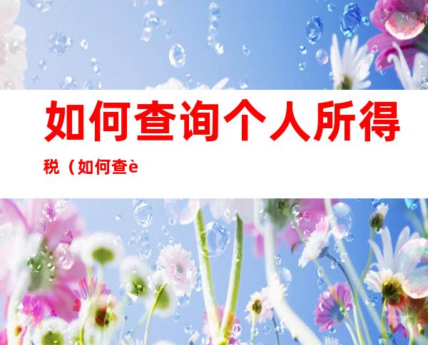 如何查询个人所得税(如何查询个人所得税申报明细)
