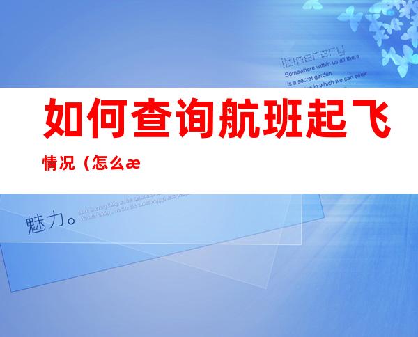 如何查询航班起飞情况(怎么查航班起飞状态)