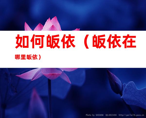 如何皈依(皈依在哪里皈依)