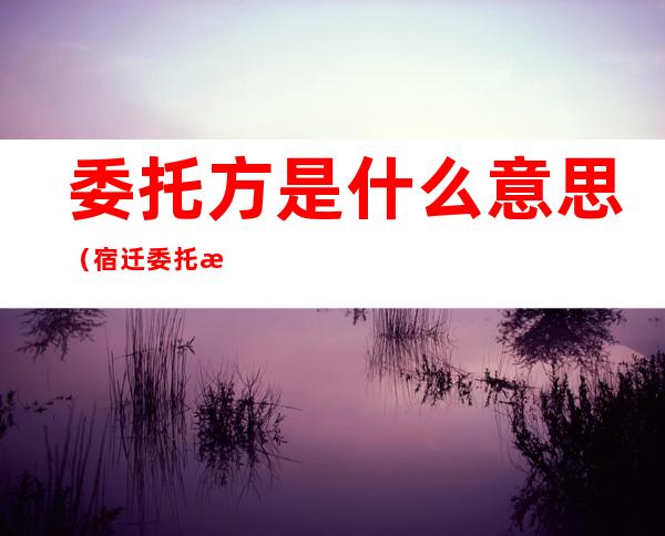 委托方是什么意思(宿迁委托方是什么意思)