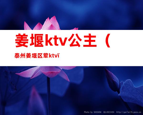 姜堰ktv公主(泰州姜堰区荤ktv)