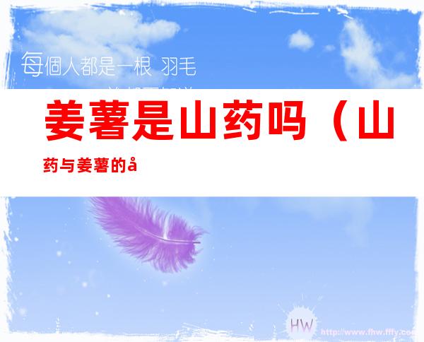姜薯是山药吗(山药与姜薯的功效一样吗)