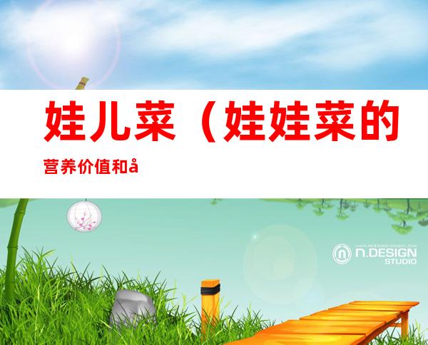 娃儿菜(娃娃菜的营养价值和功效)