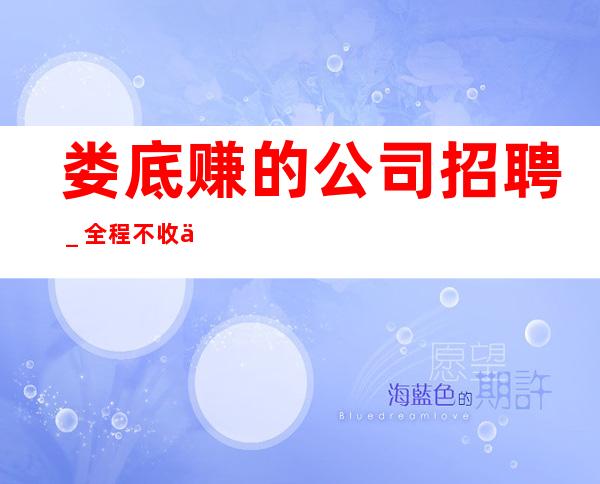 娄底赚的公司招聘_全程不收一分