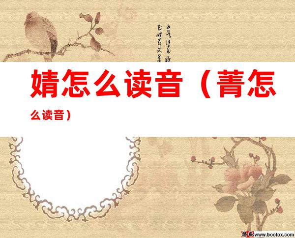 婧怎么读音(菁怎么读音)