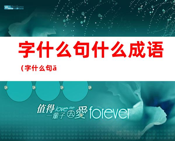 字什么句什么成语(字什么句什么成语是什么)