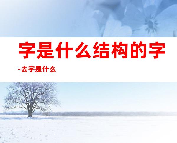 字是什么结构的字-去字是什么结构