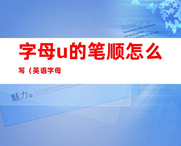 字母u的笔顺怎么写(英语字母u的笔顺怎么写)