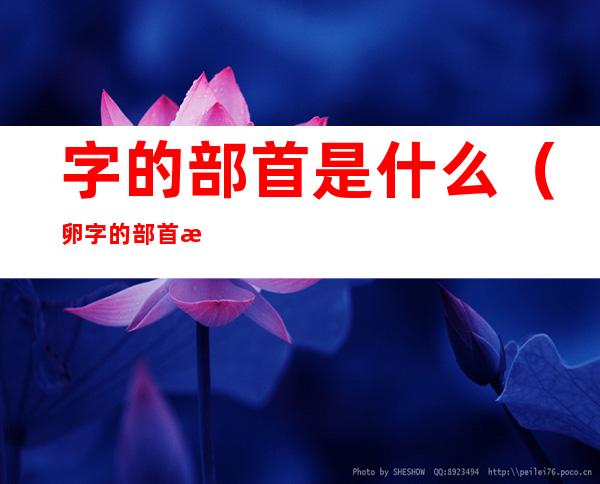 字的部首是什么(卵字的部首是什么)