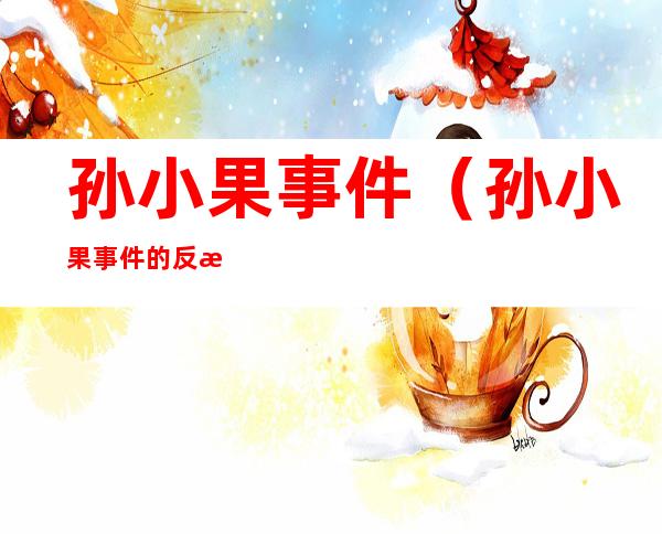 孙小果事件(孙小果事件的反思)