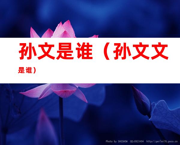 孙文是谁（孙文文是谁）