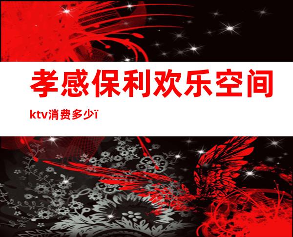 孝感保利欢乐空间ktv消费多少(孝感声乐汇KTV)