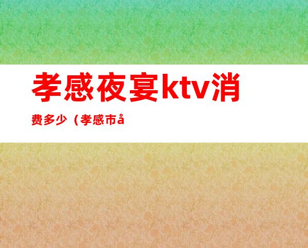 孝感夜宴ktv消费多少(孝感市夜色KTV)