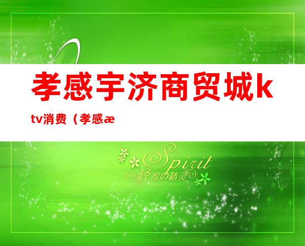 孝感宇济商贸城ktv消费(孝感欢乐空间ktv电话)