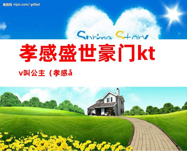 孝感盛世豪门ktv叫公主(孝感商务KTV)