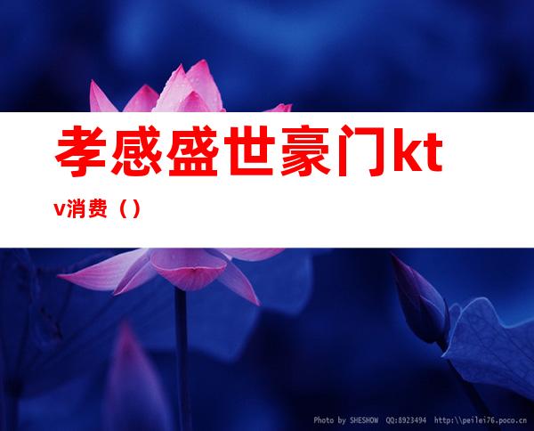 孝感盛世豪门ktv消费()