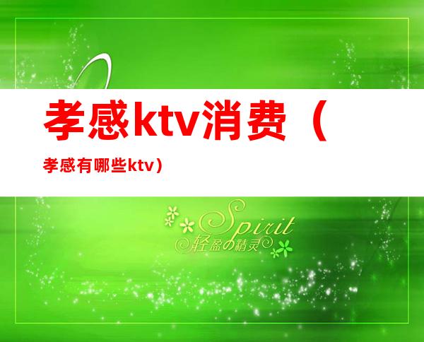 孝感ktv消费(孝感有哪些ktv)