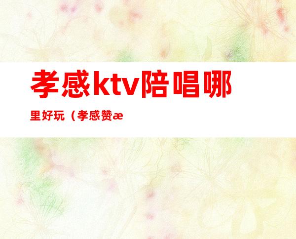 孝感ktv陪唱哪里好玩(孝感赞歌ktv有陪酒吗)