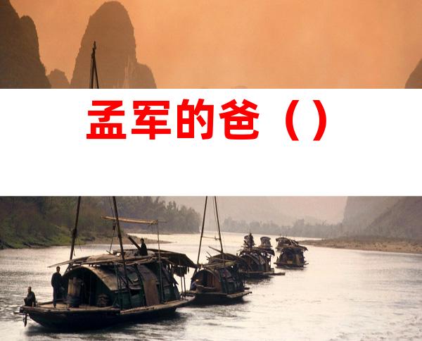 孟军的爸()