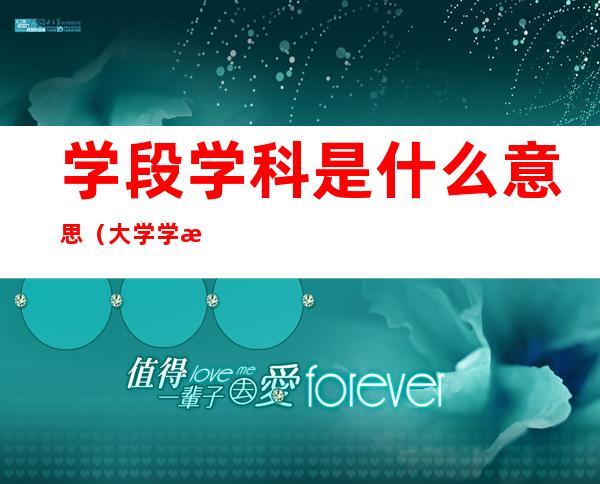 学段学科是什么意思(大学学段学科什么意思)