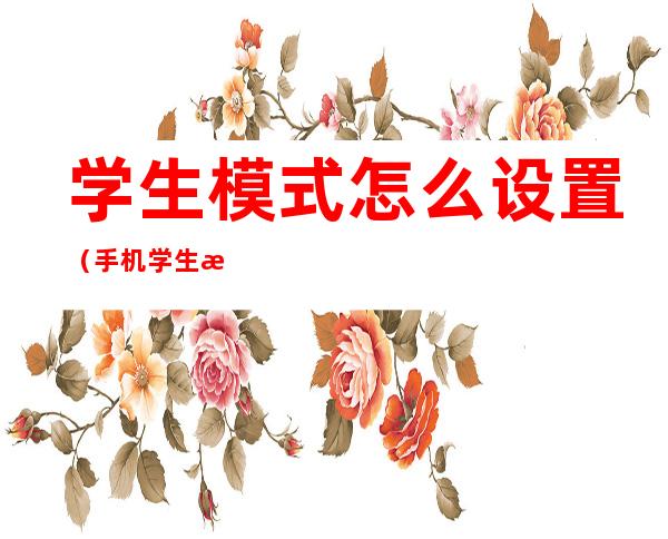 学生模式怎么设置(手机学生模式怎么设置)