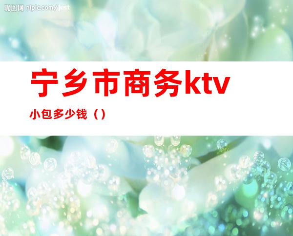 宁乡市商务ktv小包多少钱()