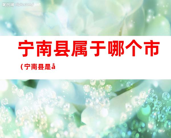 宁南县属于哪个市(宁南县是属于哪个市)