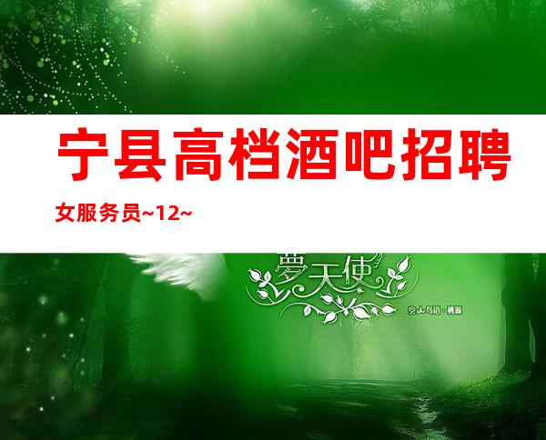宁县高档酒吧招聘女服务员~12~包接送上班愉快