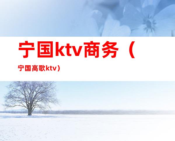 宁国ktv商务(宁国高歌ktv)