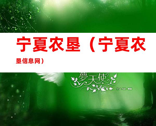 宁夏农垦（宁夏农垦信息网）