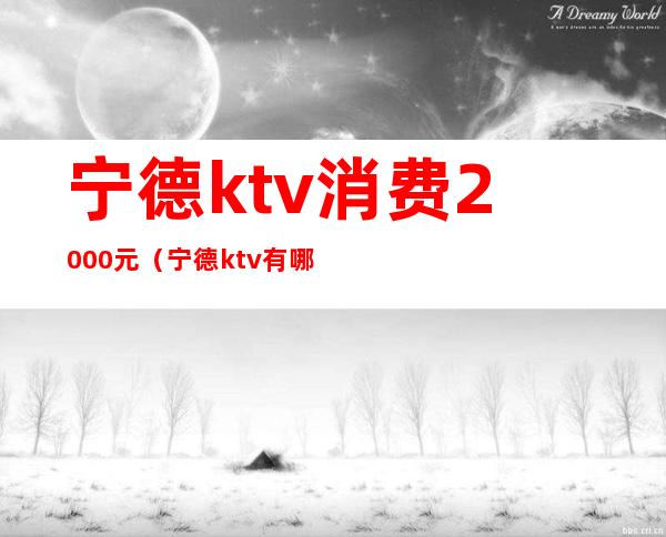 宁德ktv消费2000元(宁德ktv有哪些)