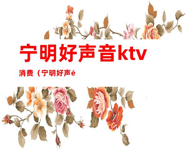 宁明好声音ktv消费（宁明好声音最低消费）