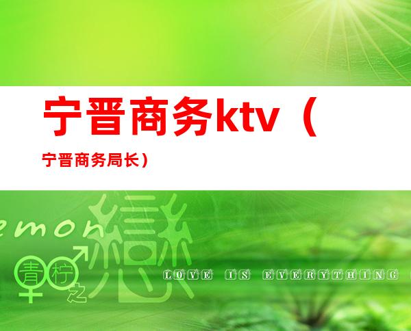 宁晋商务ktv（宁晋商务局长）