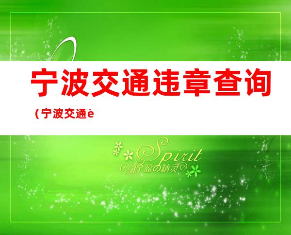 宁波交通违章查询（宁波交通违章查询123）